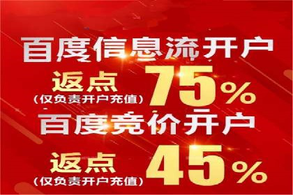 搜索引擎营销（SEM）的创意与执行——以多个行业成功案例为教学